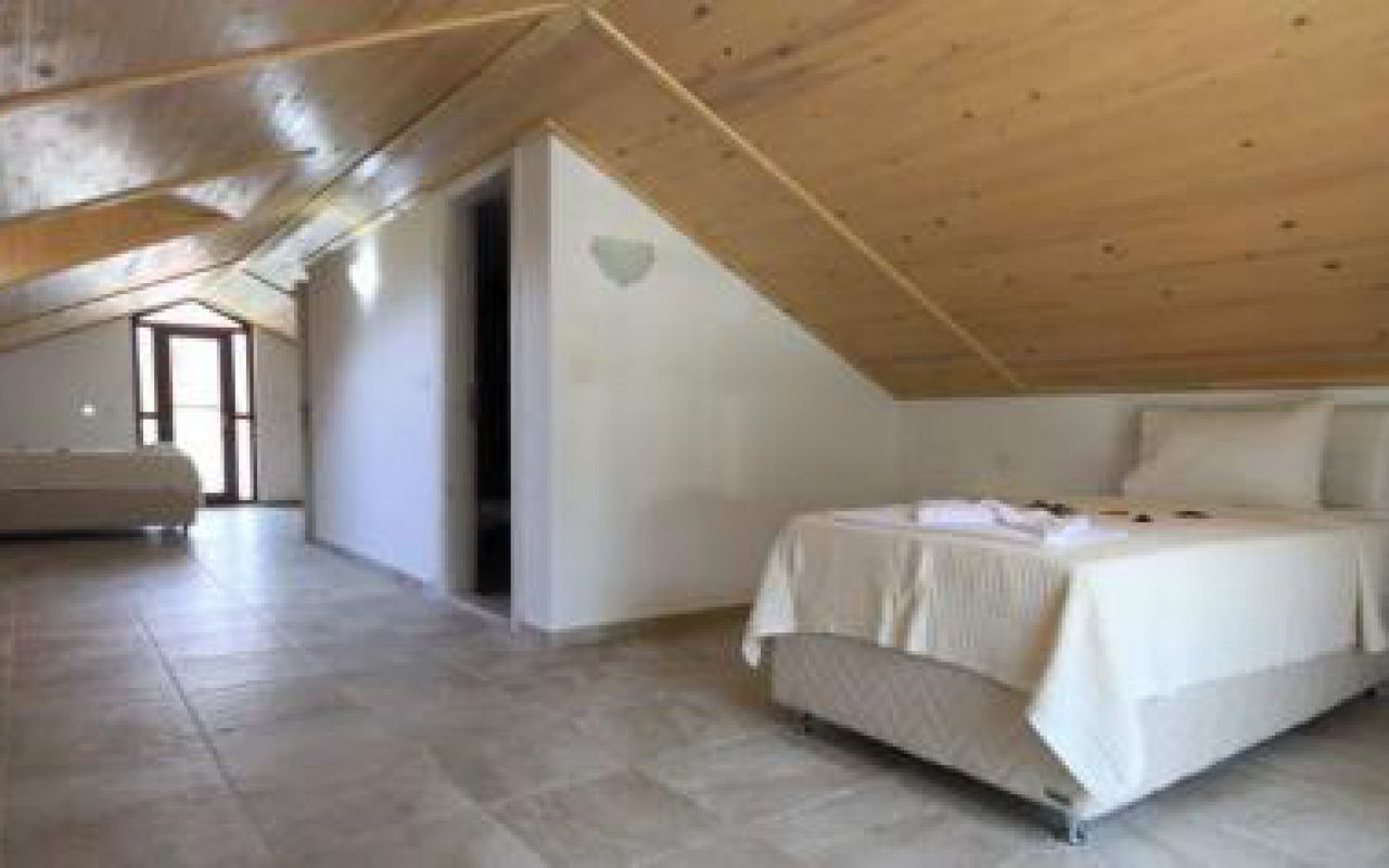Villa Dalyan Turtle