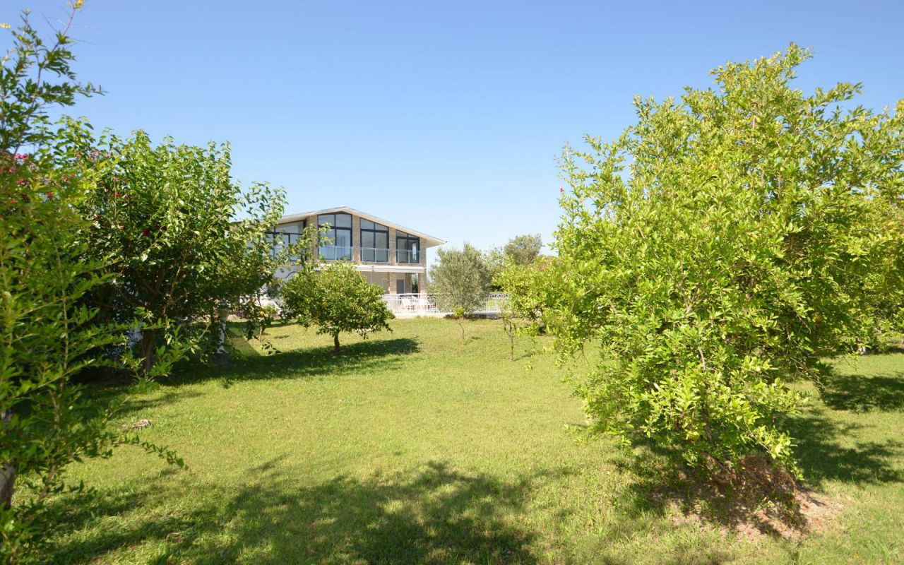 T-C Tulip Villa