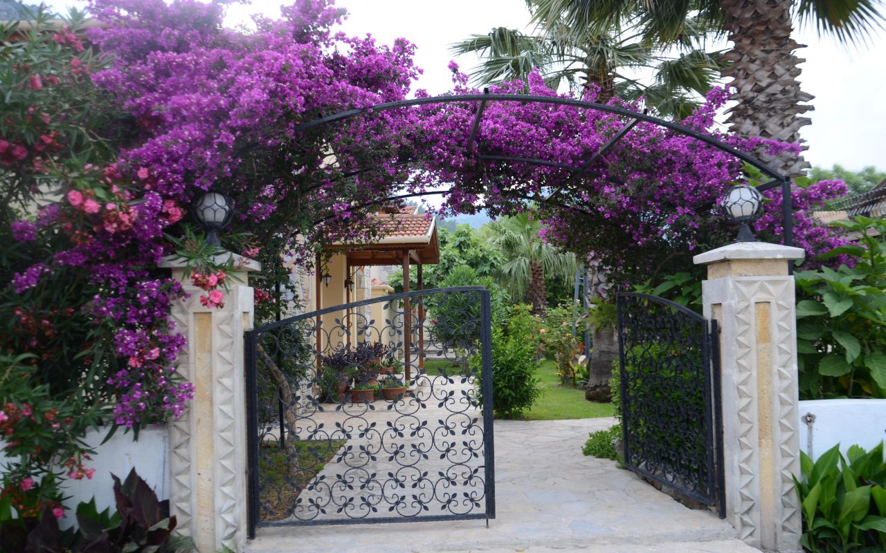 Azure Villa